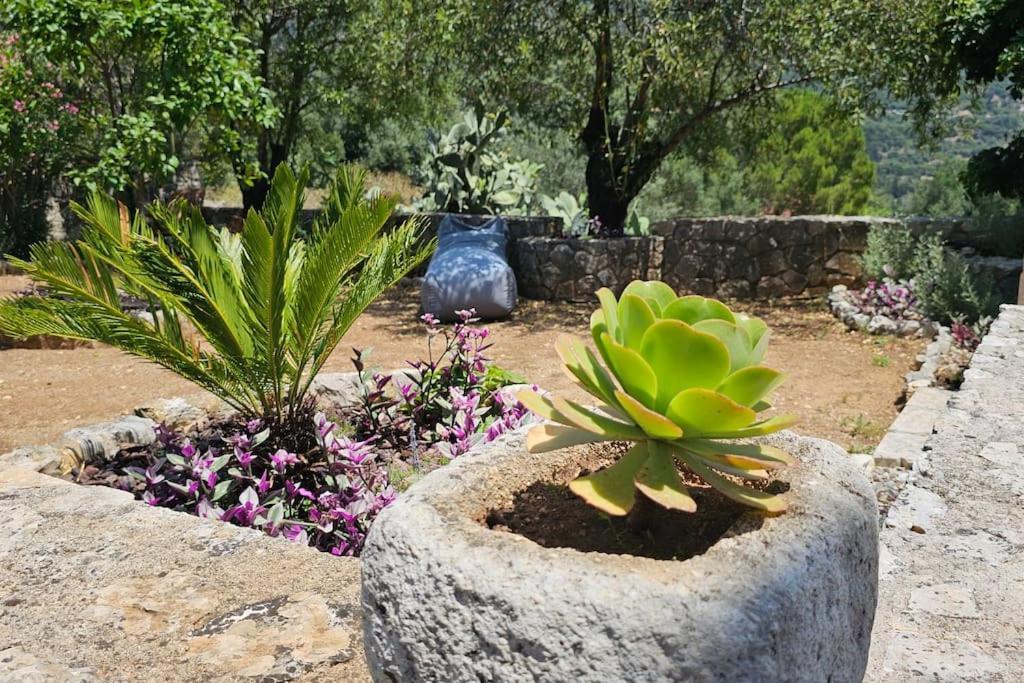 فيلا The Blooming House Makriotika المظهر الخارجي الصورة